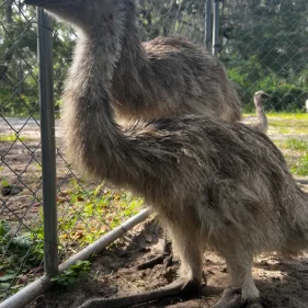 8B4F9393-1706-4D38-9357-70B114AFF96F