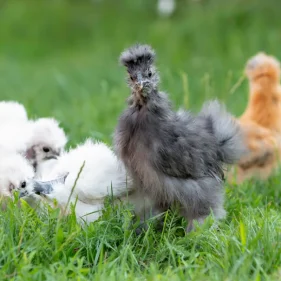 AdobeStock_511573786