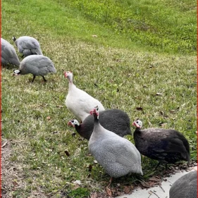 Screenshot 2024-08-14 160000