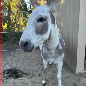 Screenshot 2024-08-14 160116 (1)